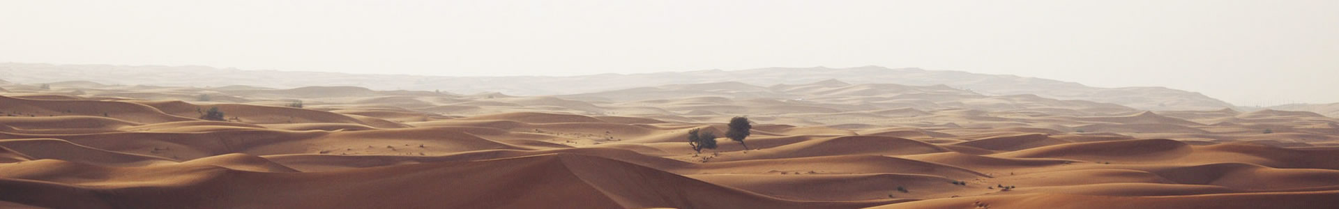 ضƼ޹˾